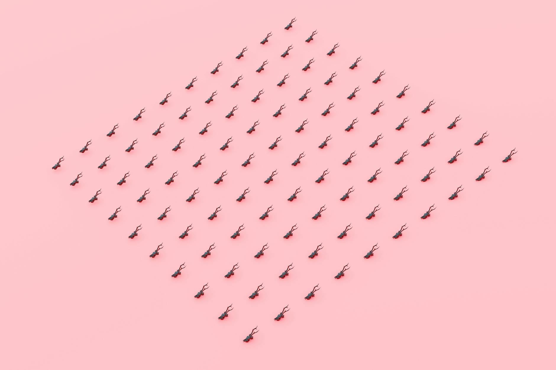 A creative and artistic display of miniature black ants arranged on a pink surface.