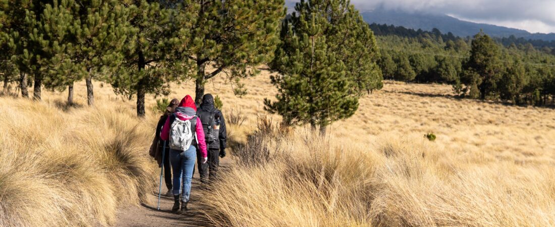Crear prompts que venden: técnica paso a paso