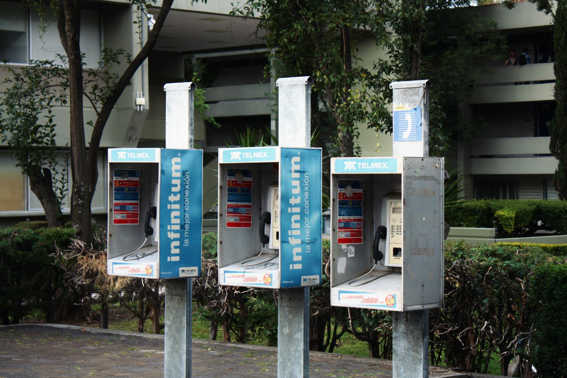 Outdoor image of three Telmex public telephone booths with greenery in the background.