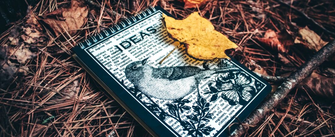 Desbloquea la creatividad con los mejores prompts para escritores con Claude