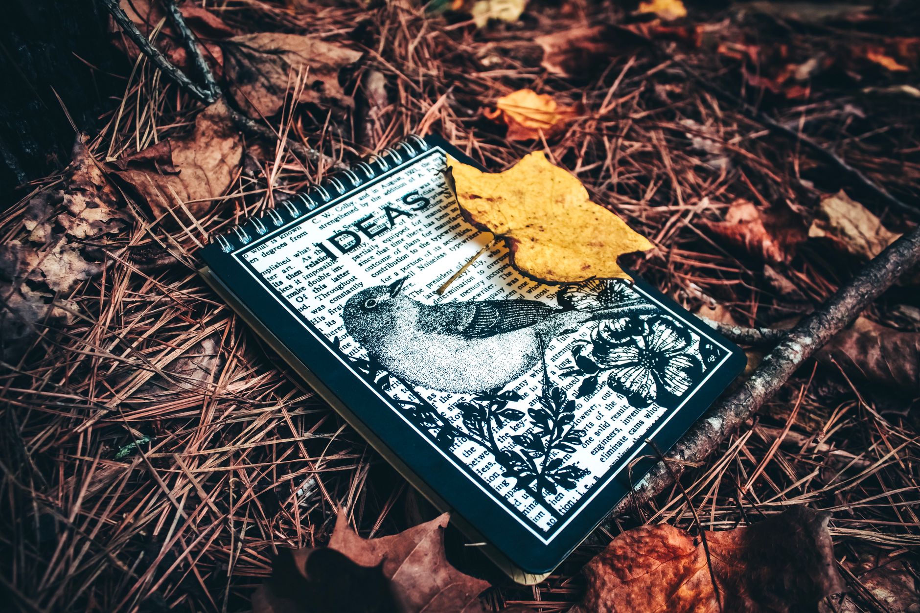 Desbloquea la creatividad con los mejores prompts para escritores con Claude